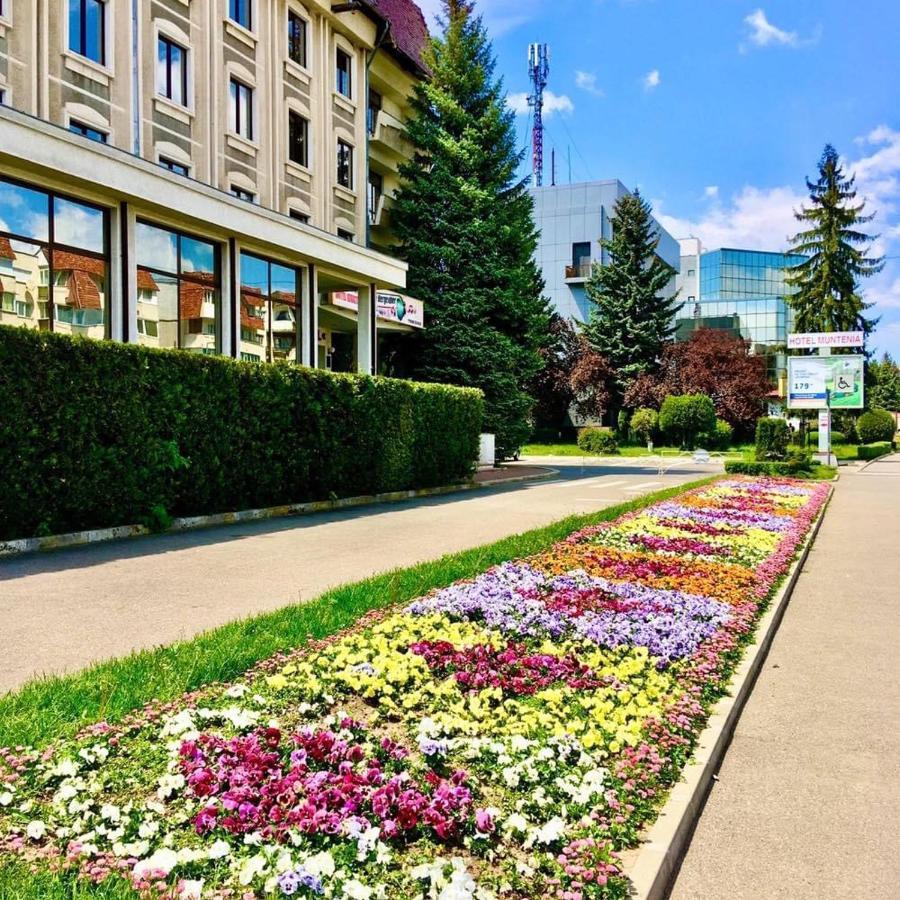 Hotel Muntenia Campina Exterior photo